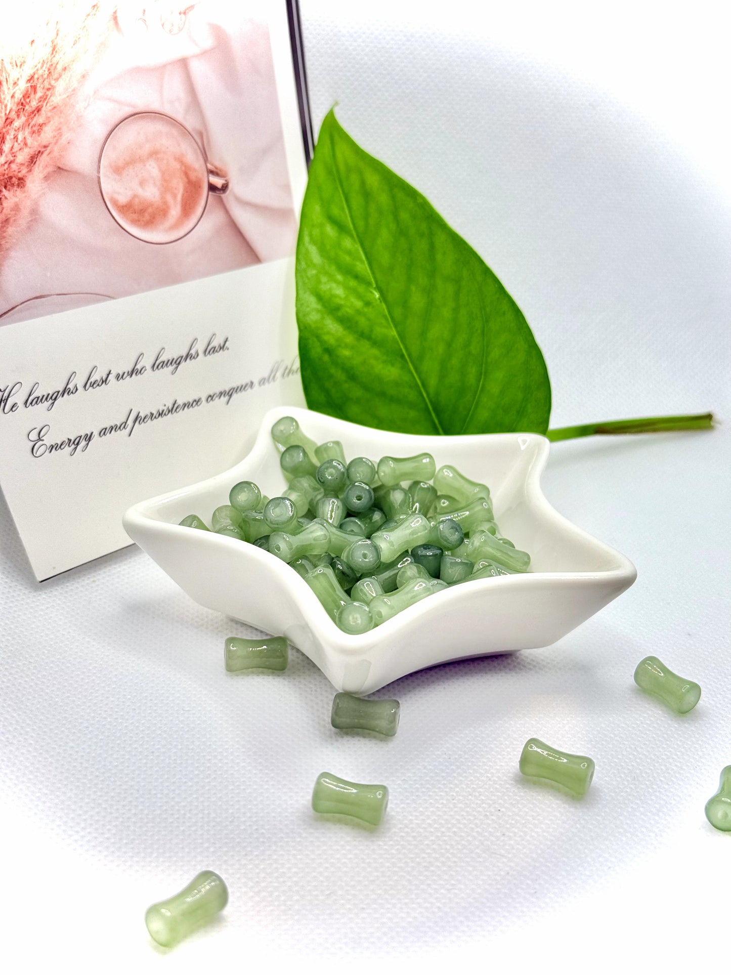 A15 A23 瑠璃玉竹の節